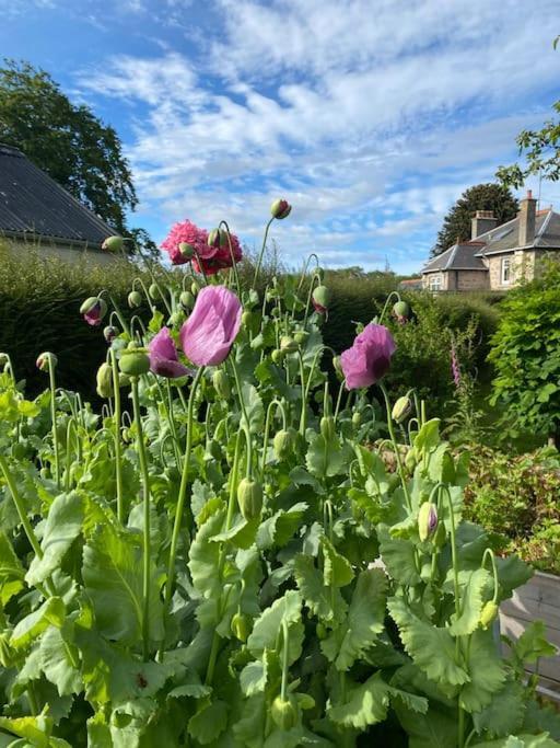 Glenburn, Private Studio Accommodation In Fochabers Exterior foto