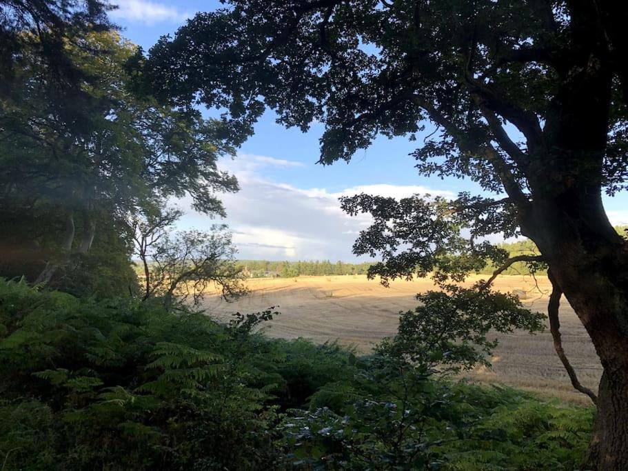 Glenburn, Private Studio Accommodation In Fochabers Exterior foto